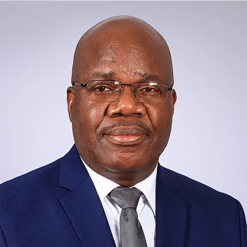 Professor Dr Daniel Chigudu